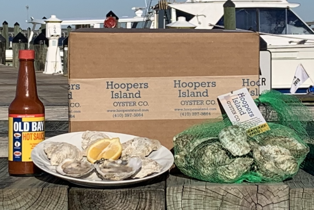 Oysters Blue Oyster Environmental   25 Count Chesapeake Gold Oysters 1024x687 1200x1200 