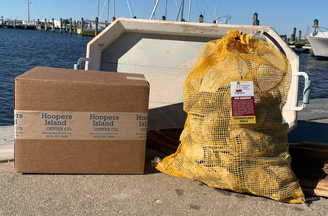 Chesapeake Gold Oysters-100 Count