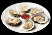 Load image into Gallery viewer, Chesapeake Gold Oysters- 25 Count
