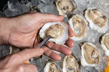 Load image into Gallery viewer, Chesapeake Gold Oysters-100 Count
